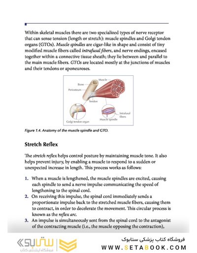 Muscle Energy Techniques, Second Edition : A Practical Guide for Physical Therapists