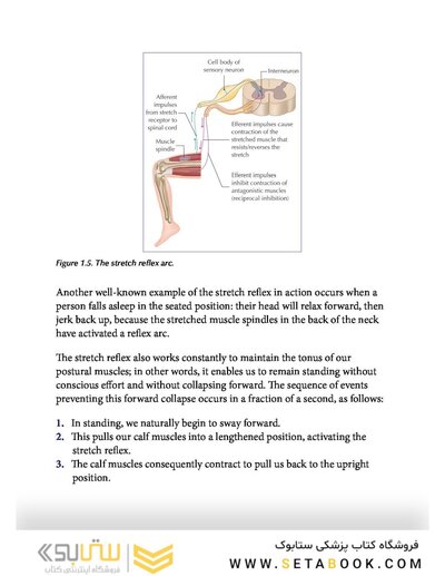 Muscle Energy Techniques, Second Edition : A Practical Guide for Physical Therapists