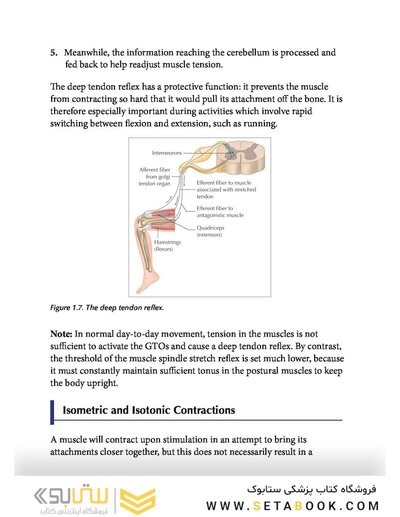 Muscle Energy Techniques, Second Edition : A Practical Guide for Physical Therapists