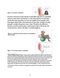Muscle Energy Techniques, Second Edition : A Practical Guide for Physical Therapists