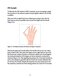 Muscle Energy Techniques, Second Edition : A Practical Guide for Physical Therapists