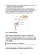 Muscle Energy Techniques, Second Edition : A Practical Guide for Physical Therapists