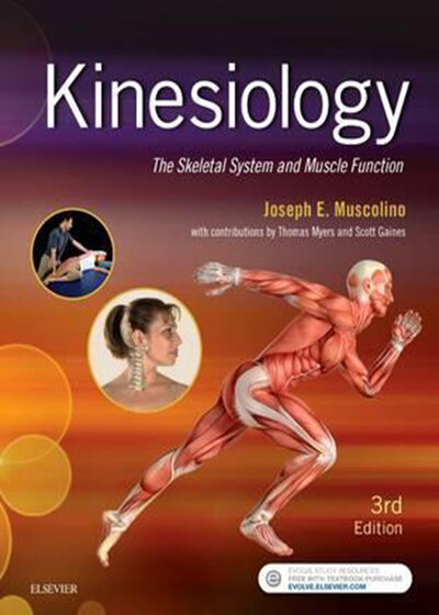 Kinesiology: The Skeletal System and Muscle Function 3rd Edition2016 حرکت شناسی: سیستم اسکلتی و عملکرد عضلات