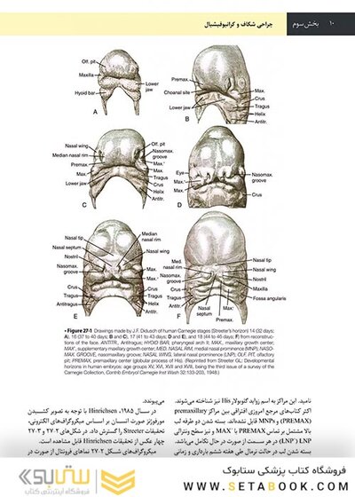 جراحی دهان، فک و صورت فونسکا 2018 جلد 6 جراحی شکاف و کرانیوفیشیال