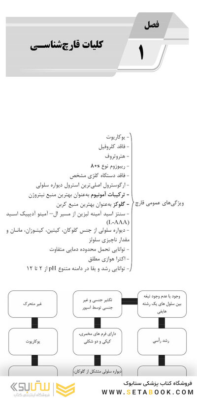 AGK الگوریتم قارچ شناسی