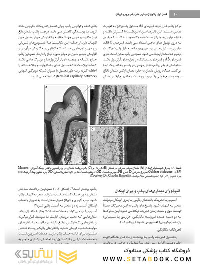 اصول و درمان اندودانتیکس ترابی نژاد 2021 چاپ سیاه و سفید