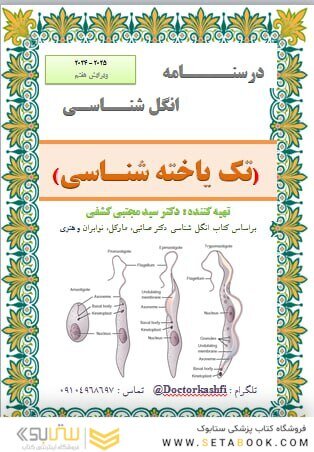 جزوه انگل شناسی ( تک یاخته شناسی )