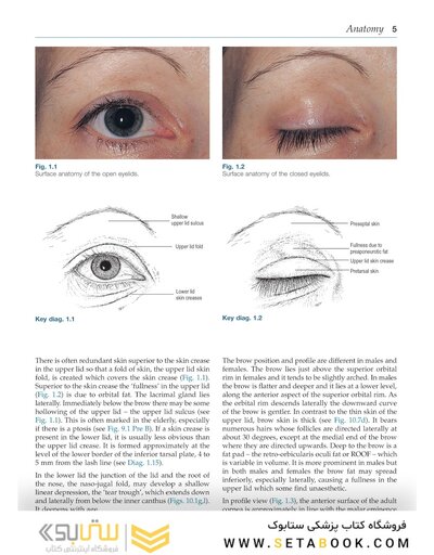 Colour Atlas of Ophthalmic Plastic Surgery 4th Edition2017
