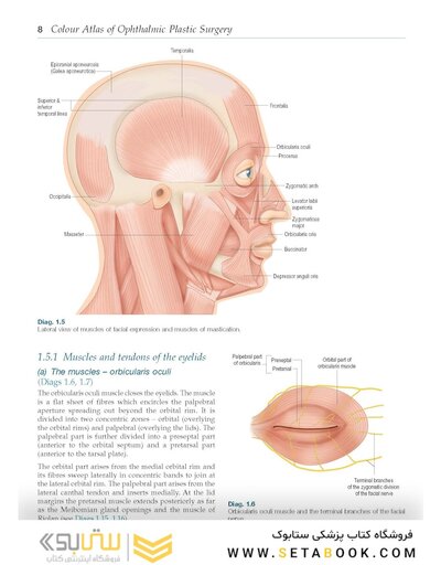 Colour Atlas of Ophthalmic Plastic Surgery 4th Edition2017
