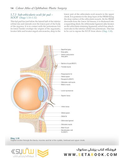 Colour Atlas of Ophthalmic Plastic Surgery 4th Edition2017