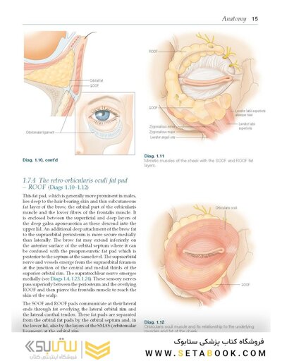 Colour Atlas of Ophthalmic Plastic Surgery 4th Edition2017