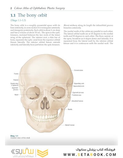 Colour Atlas of Ophthalmic Plastic Surgery 4th Edition2017