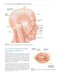 Colour Atlas of Ophthalmic Plastic Surgery 4th Edition2017