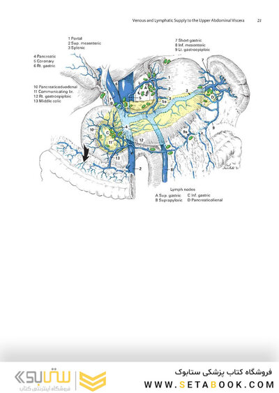 Zollinger's Atlas of Surgical Operations, Eleventh Edition 11th Edition