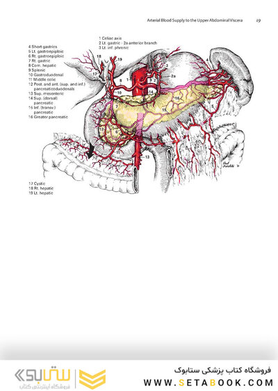 Zollinger's Atlas of Surgical Operations, Eleventh Edition 11th Edition