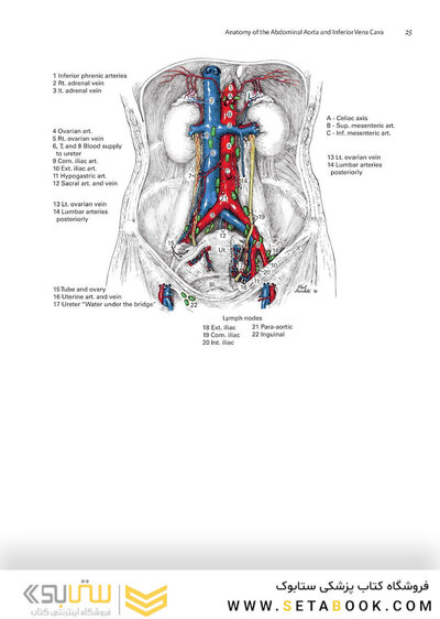 Zollinger's Atlas of Surgical Operations, Eleventh Edition 11th Edition