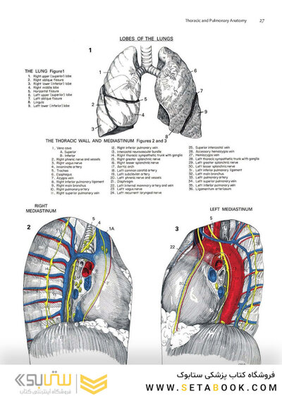 Zollinger's Atlas of Surgical Operations, Eleventh Edition 11th Edition