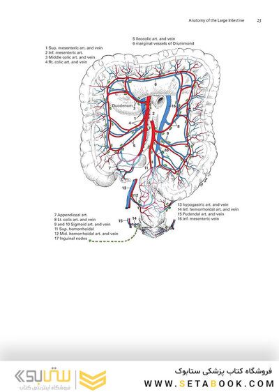 Zollinger's Atlas of Surgical Operations, Eleventh Edition 11th Edition