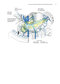 Zollinger's Atlas of Surgical Operations, Eleventh Edition 11th Edition