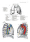 Zollinger's Atlas of Surgical Operations, Eleventh Edition 11th Edition