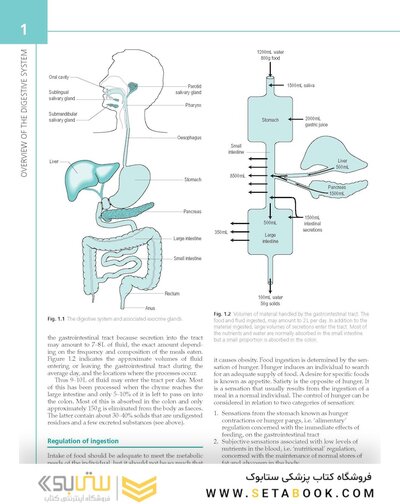 The Digestive System: Systems of the Body Series 2nd Edition