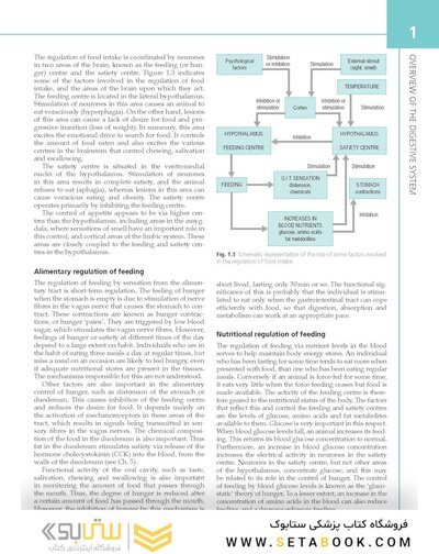 The Digestive System: Systems of the Body Series 2nd Edition