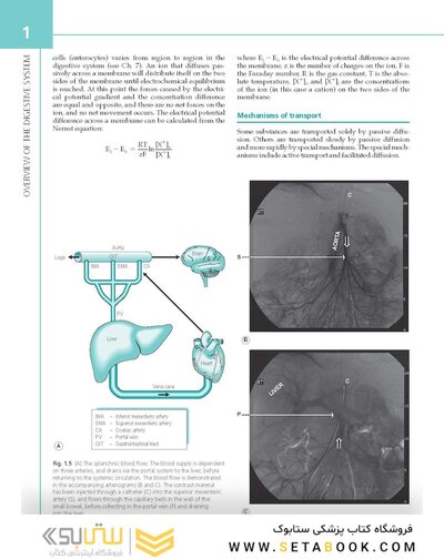 The Digestive System: Systems of the Body Series 2nd Edition