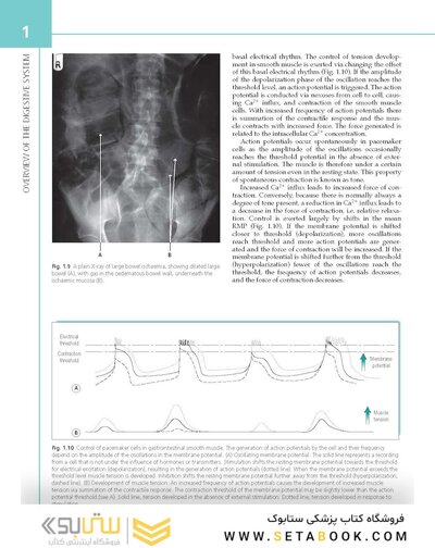 The Digestive System: Systems of the Body Series 2nd Edition
