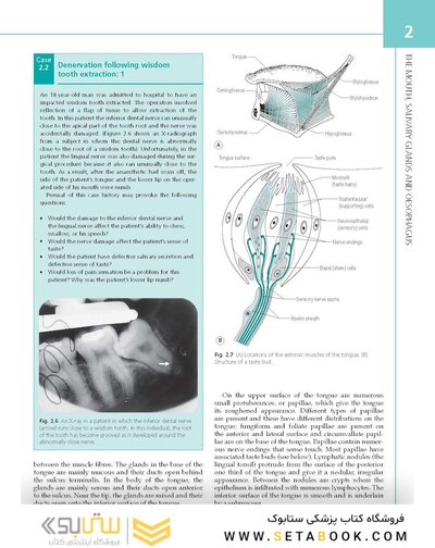 The Digestive System: Systems of the Body Series 2nd Edition