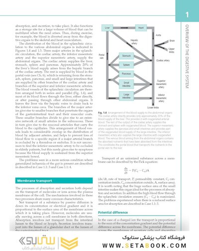 The Digestive System: Systems of the Body Series 2nd Edition