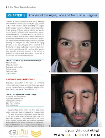 Color Atlas of Cosmetic Dermatology, 2nd Edition 2011
