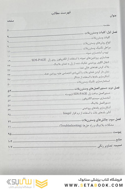 وسترن بلات و چالش های آن