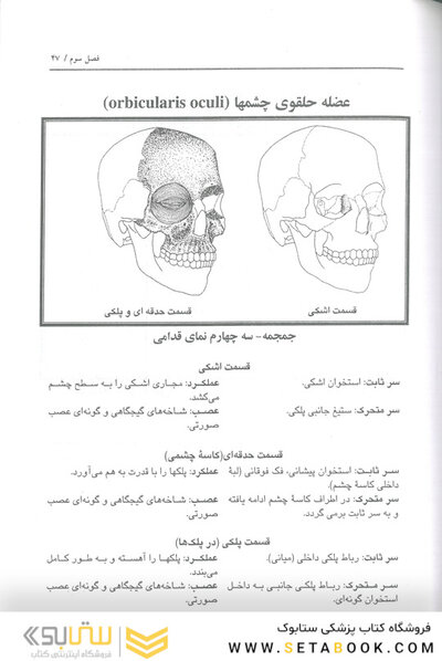 اطلس عضلات اسکلتی