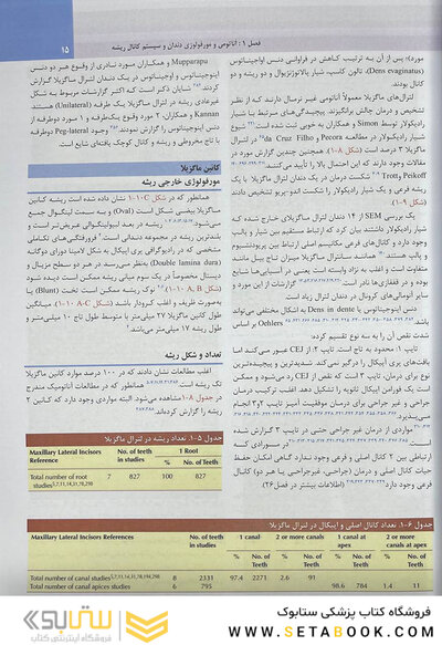 اندودانتیکس اینگل 2019 جلد1