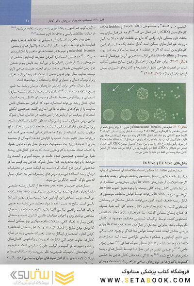 اندودانتیکس اینگل 2019 جلد 3