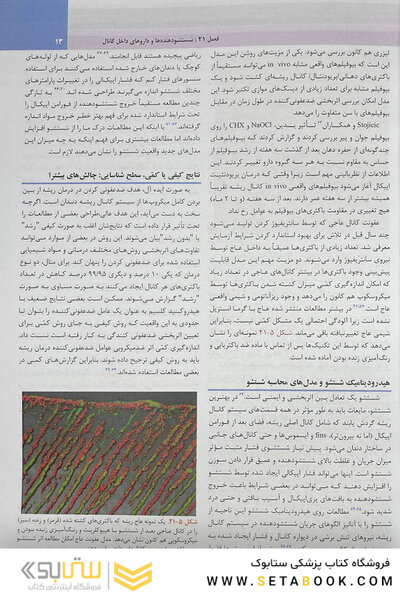 اندودانتیکس اینگل 2019 جلد 3