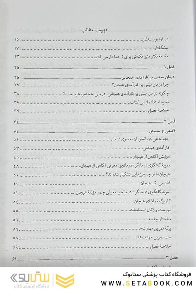 درمان مبتنی بر کارآمدی هیجانی