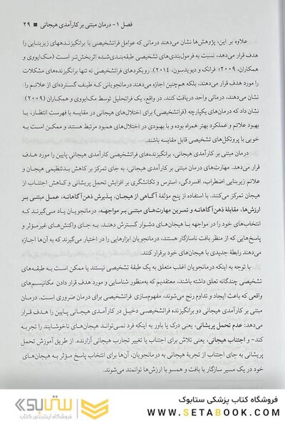 درمان مبتنی بر کارآمدی هیجانی