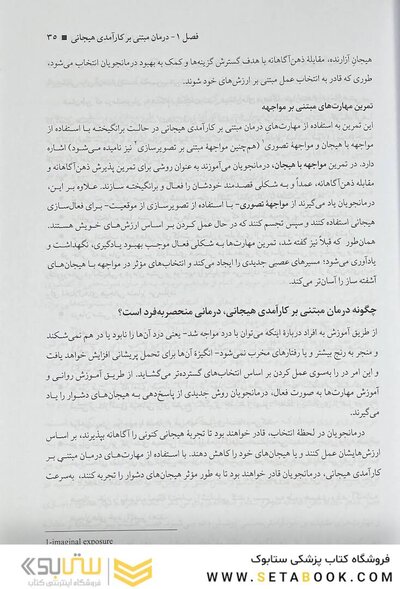 درمان مبتنی بر کارآمدی هیجانی