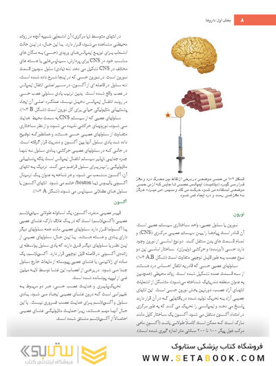 بی حسی موضعی مالامد 2020