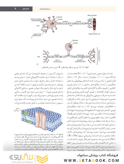 بی حسی موضعی مالامد 2020