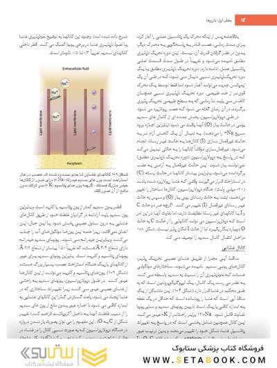 بی حسی موضعی مالامد 2020