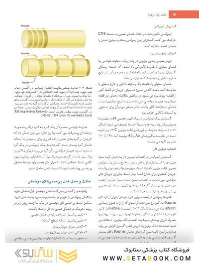 بی حسی موضعی مالامد 2020