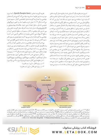 بی حسی موضعی مالامد 2020