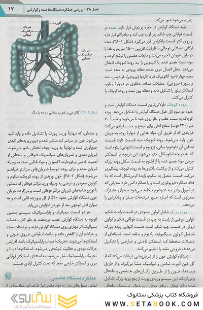 پرستاری داخلی جراحی برونر سودارث گوارش 2022 جلد 9