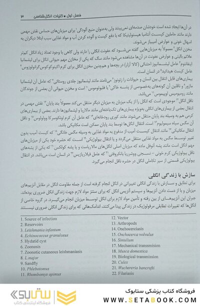 تک یاخته شناسی پزشکی