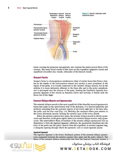 Master Techniques in Surgery: Hernia