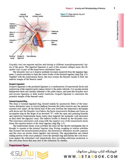 Master Techniques in Surgery: Hernia