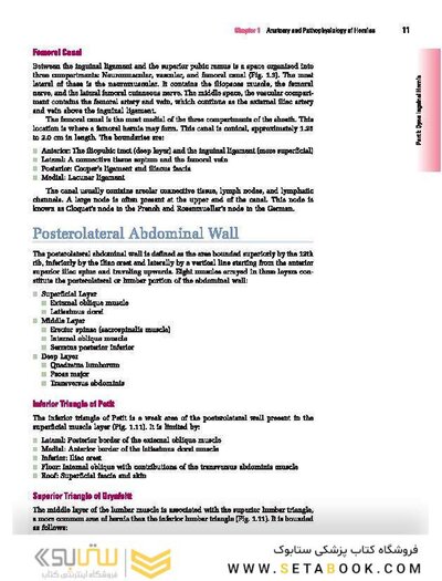 Master Techniques in Surgery: Hernia