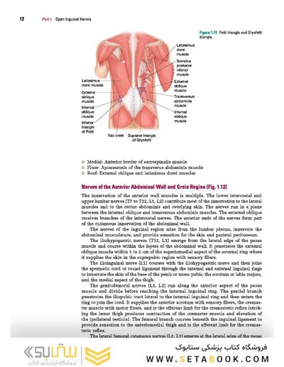 Master Techniques in Surgery: Hernia